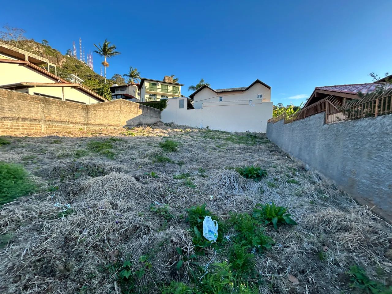 Terreno morro da cruz Florianópolis  - Foto 3