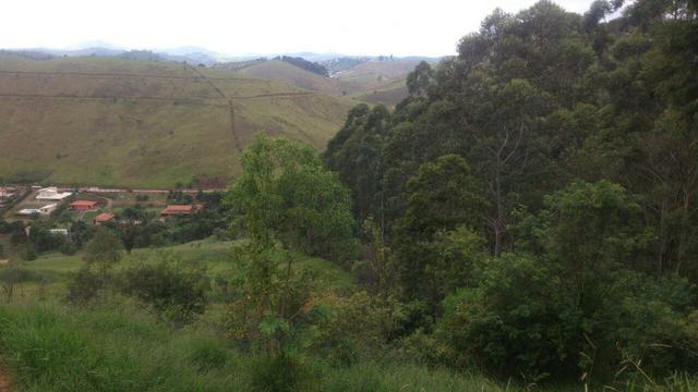 Granja em igrejinha - Foto 7