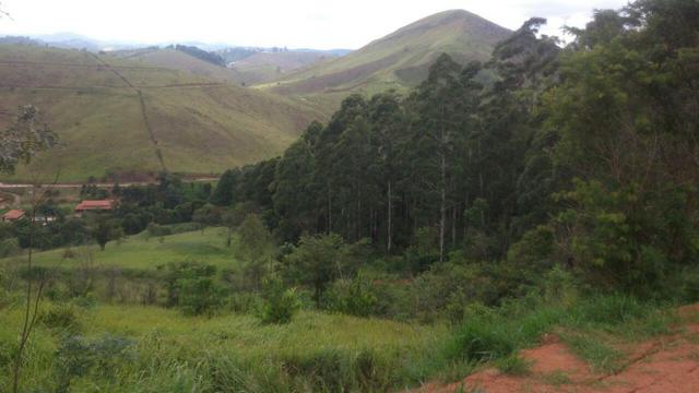 Granja em igrejinha - Foto 18