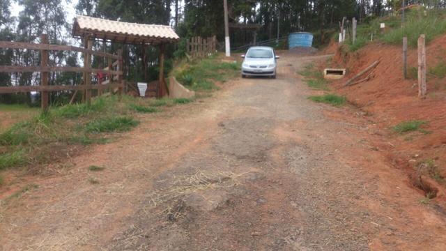 Granja em igrejinha - Foto 19