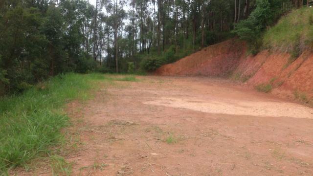 Granja em igrejinha - Foto 8