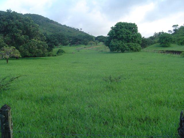Vale Jiquiriçá-Fazenda - 800 Tarefas, analisa troca p\imóvel em Salvador - Foto 18