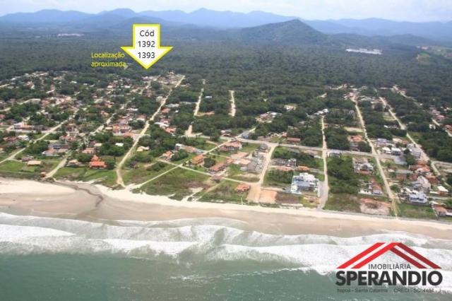 Terreno no palmeiras: r$ 48.000,00 à vista ou entrada e saldo em até 120x - Foto 4