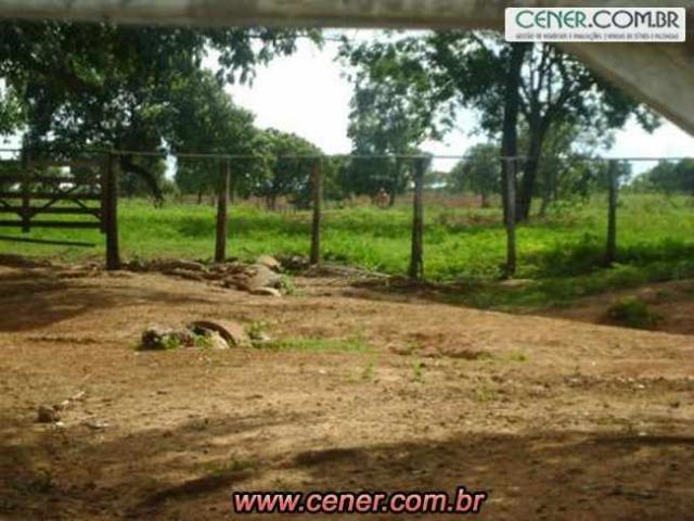 124C/Ótima fazenda de 600 hectares preparada para pecuária - Foto 12
