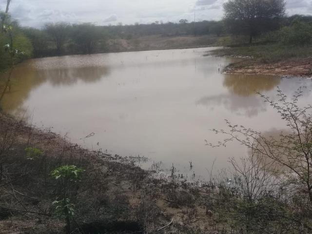 Ótima propriedade de 377 hectares,em Jataúba-PE, por apenas R$ 650 mil - Foto 20