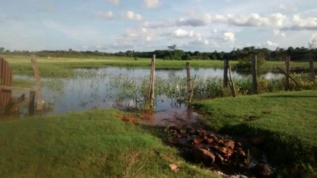 Linda Fazenda no estado de Tocantins - Foto 14
