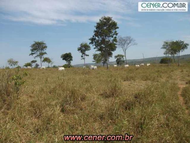 124C/Ótima fazenda de 600 hectares preparada para pecuária - Foto 17