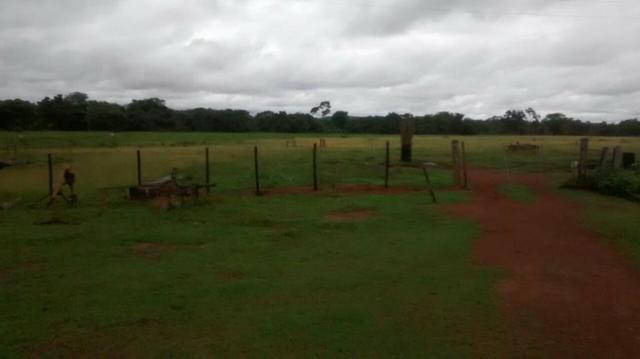 Linda Fazenda no estado de Tocantins