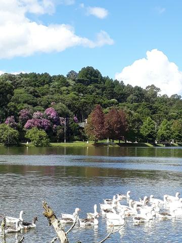 Cabana São Francisco de Paula - Foto 2