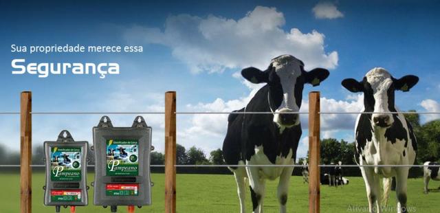 Eletrificador Cerca Elétrica Rural 60km12v Pampeano a bateria - Foto 3
