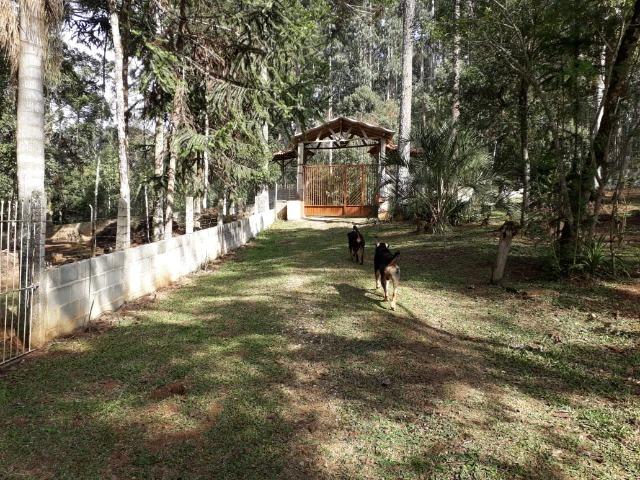 Chácara - Sítio - Mandirituba próx. Fazenda Rio Grande - Foto 11