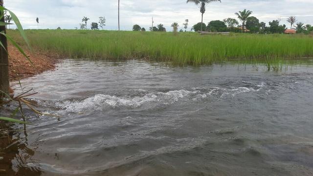 Fazenda - Foto 8