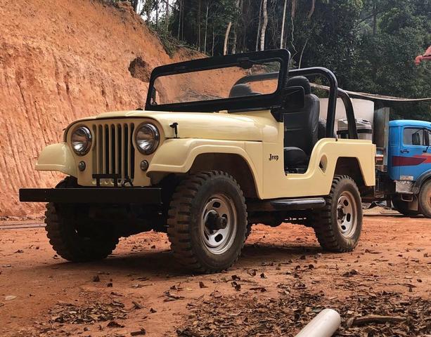 Jeep bege 1966 - Foto 2