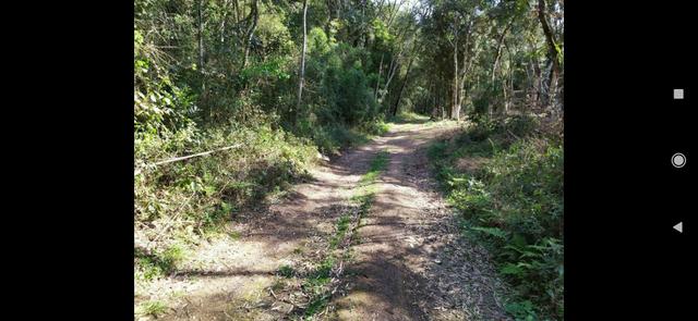 Terreno em Condomínio de Chácaras - 10 mil M2 - Aceita carro - troca - 300m do asfalto