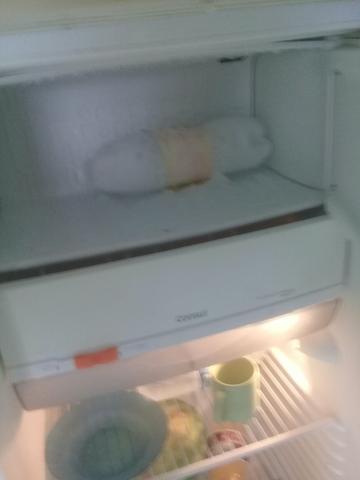 Vendo geladeira - Foto 3