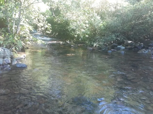 sitio em timbé do sul molha coco