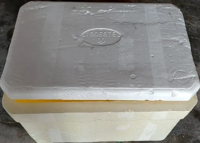 Caixa Térmica Isopor 50 Litros - Foto 4