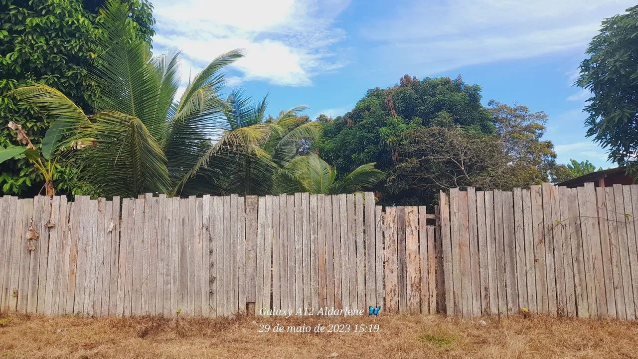 foto - Mojuí dos Campos - Arapixuna