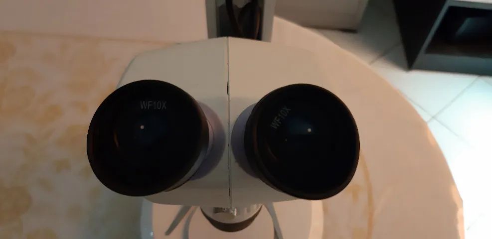 Microscópio Estereoscópio Binocular Opton Tim 30 10x, 20x, 40x e 80x - Foto 2