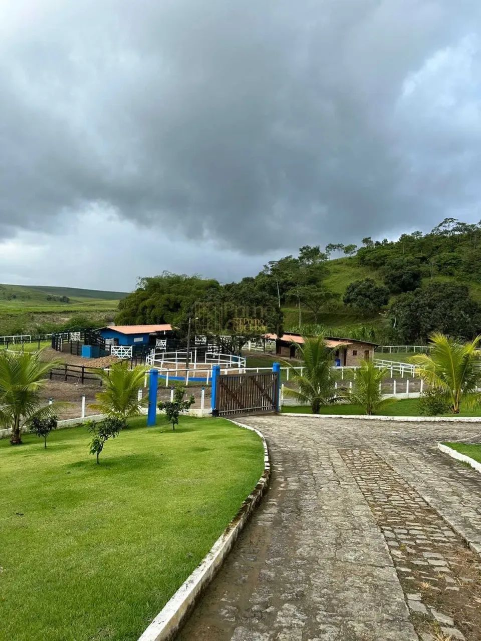Fazenda À Venda em Atalaia! Leia a Descrição! - Foto 4