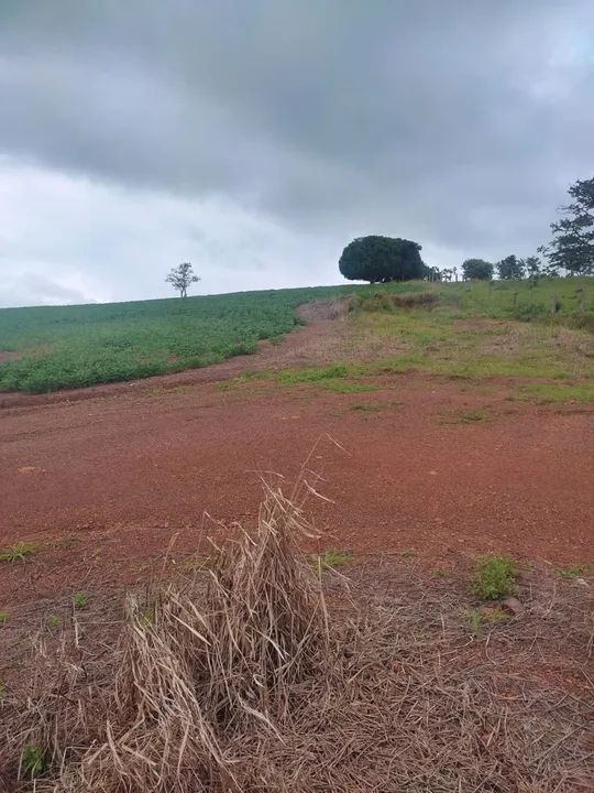 Fazenda 31 alqueires  - Foto 5
