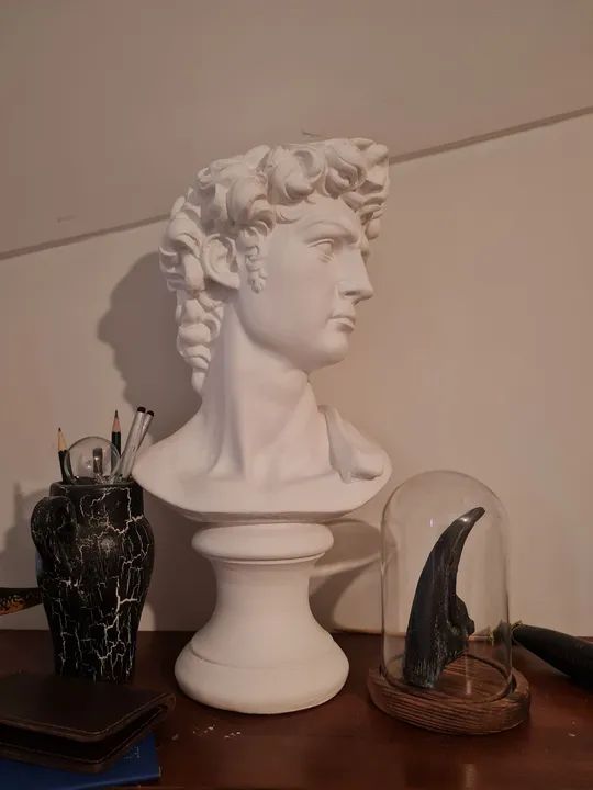 Busto Davi de Michelangelo 