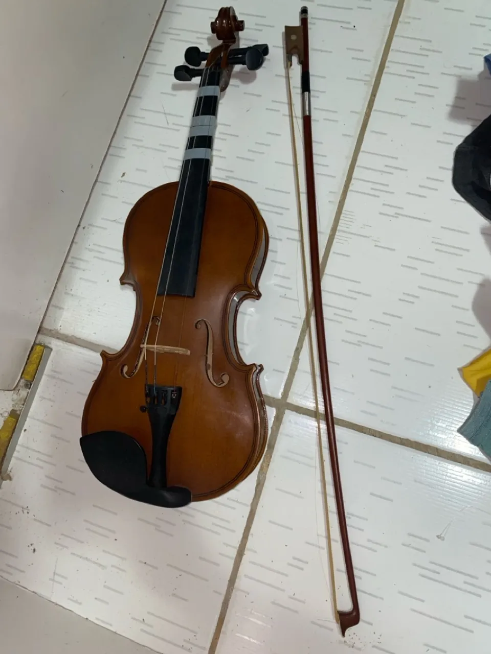 Violino