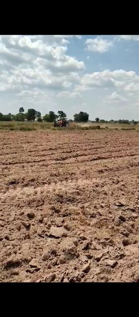 Fazenda Goiás - Mara Rosa  - Foto 3