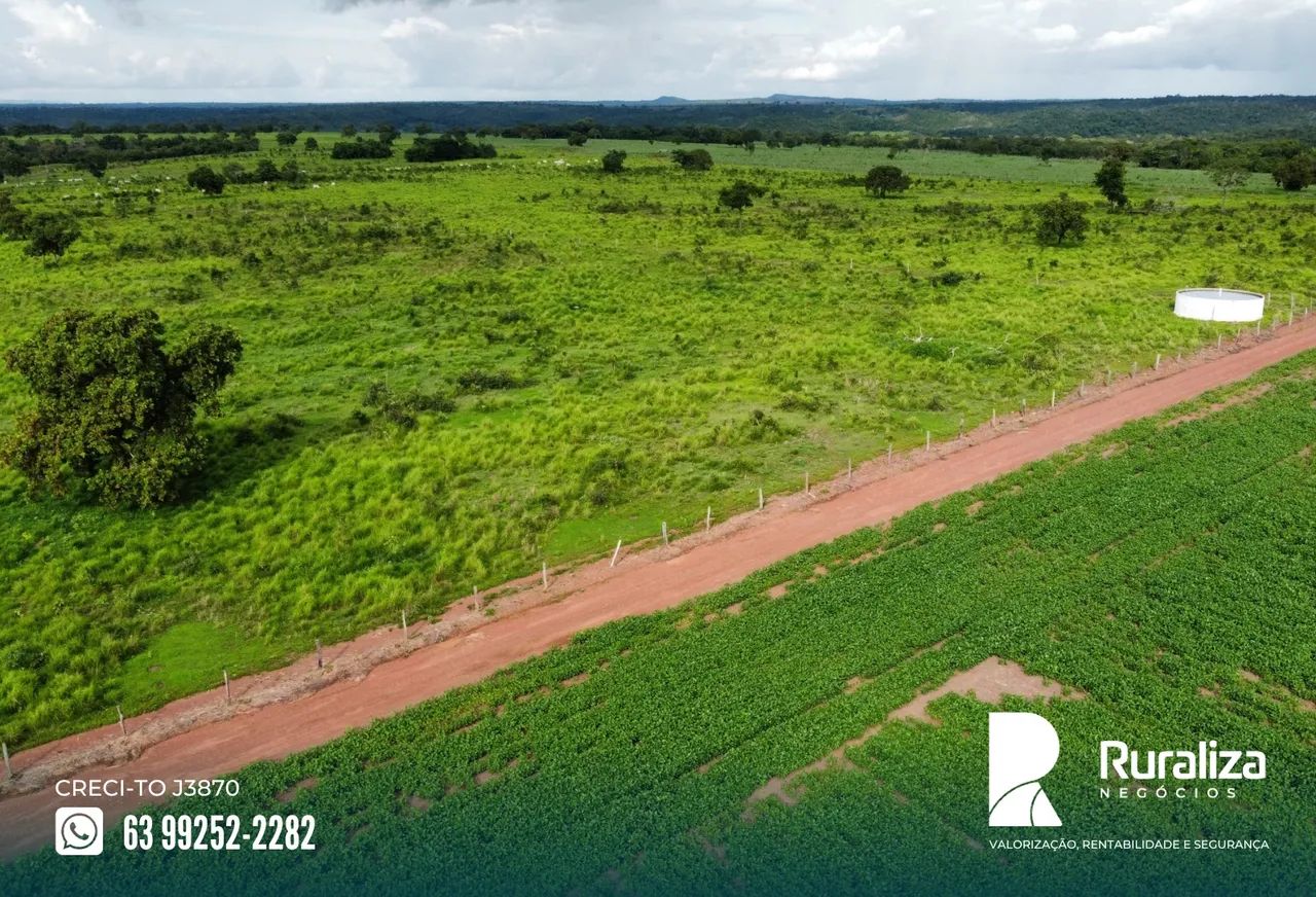 Cristalândia - TO, Argila média acima de 30%, estrutura completa para atividades agropecuá - Foto 2