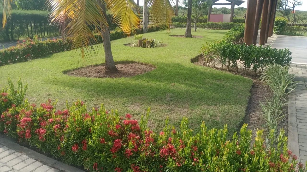 Terreno Fazenda Real 2 - Foto 4