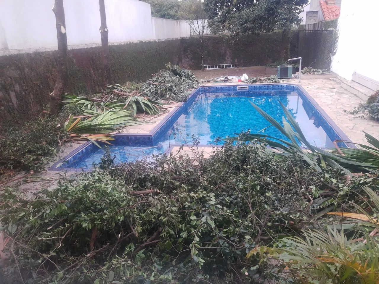 Jardineiro em Guarulhos ( Residência / Comércio / Empresa ) - Foto 3