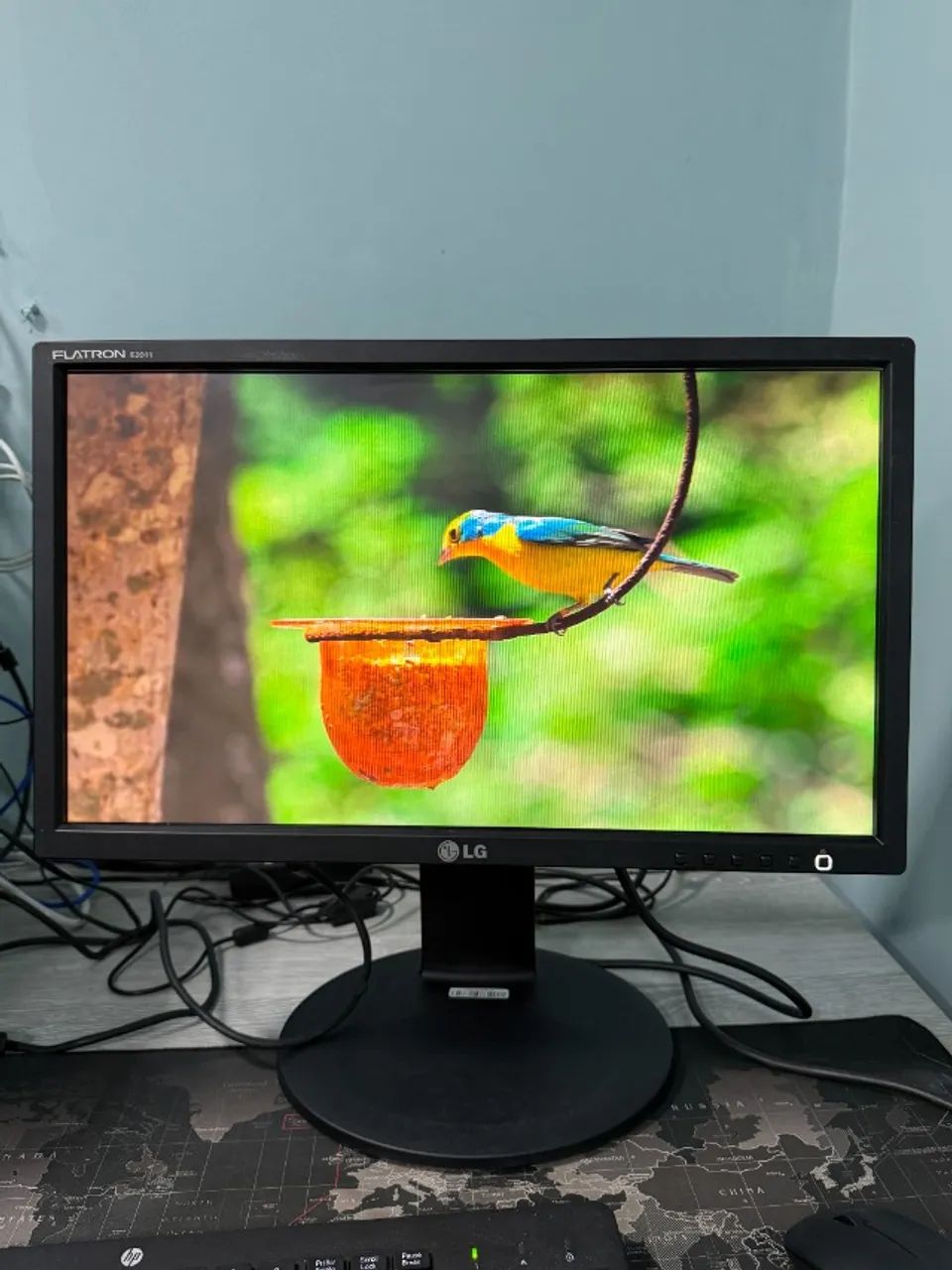 Monitor LG E2011P 20P Widescreen Base Regulável vga/dvi horizontal e vertical 