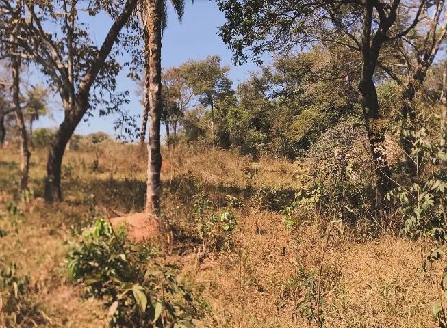 Juatuba - Terreno de 4.000m² - Foto 5