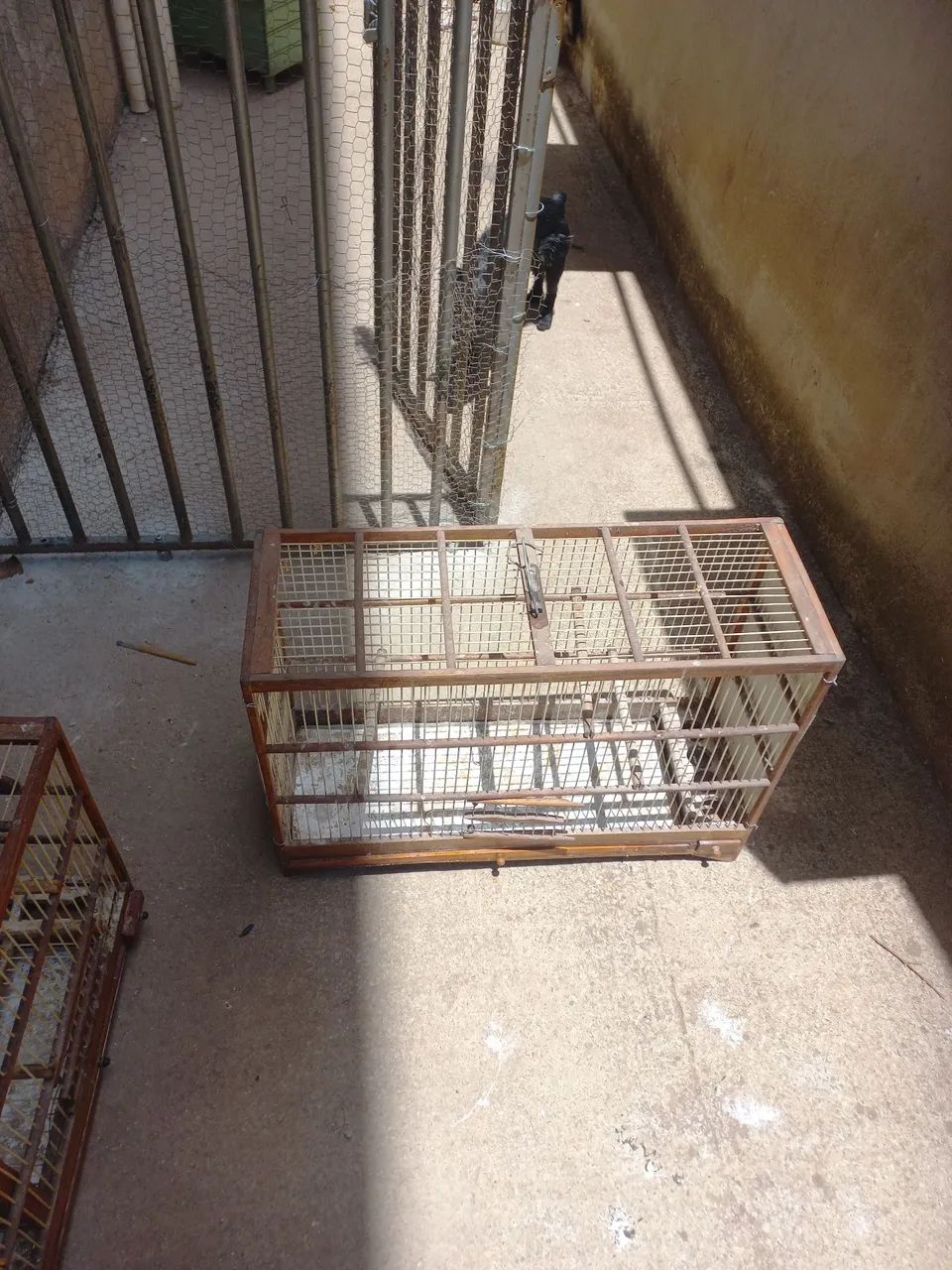 Cages 64298781682307121