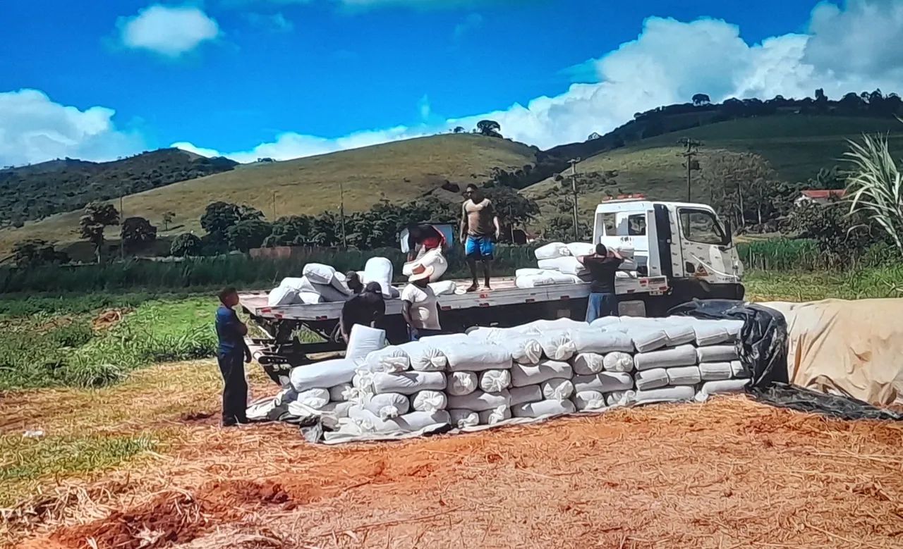 VENDO SILO DE MILHO DE EXTREMA QUALIDADE SILAGEM 