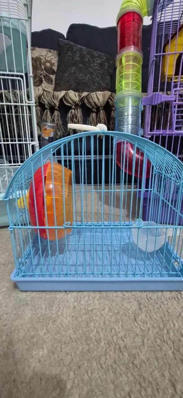HAMSTER CAGE63824603267203123