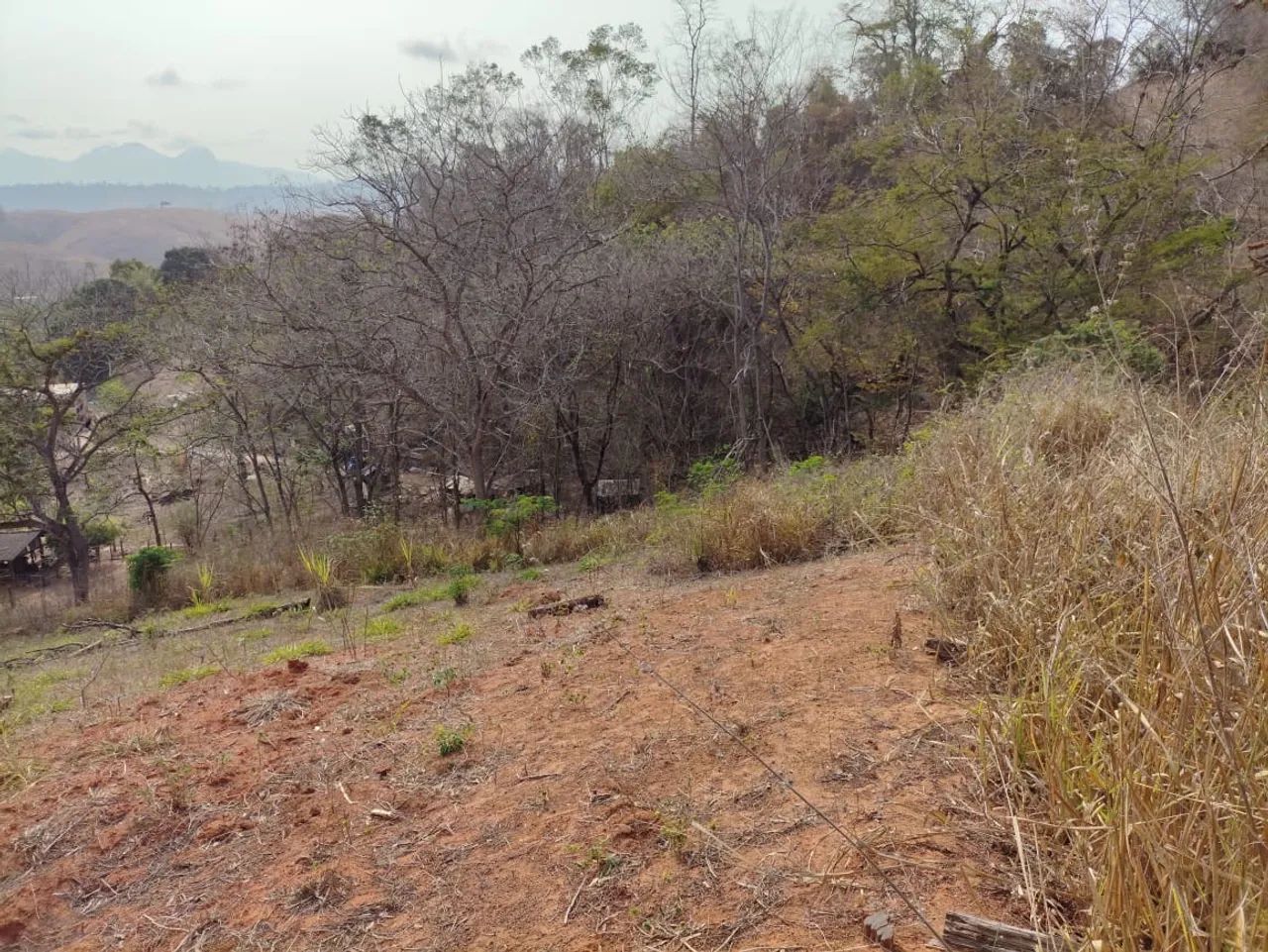 Terreno à venda - Excelente localização! - Foto 5
