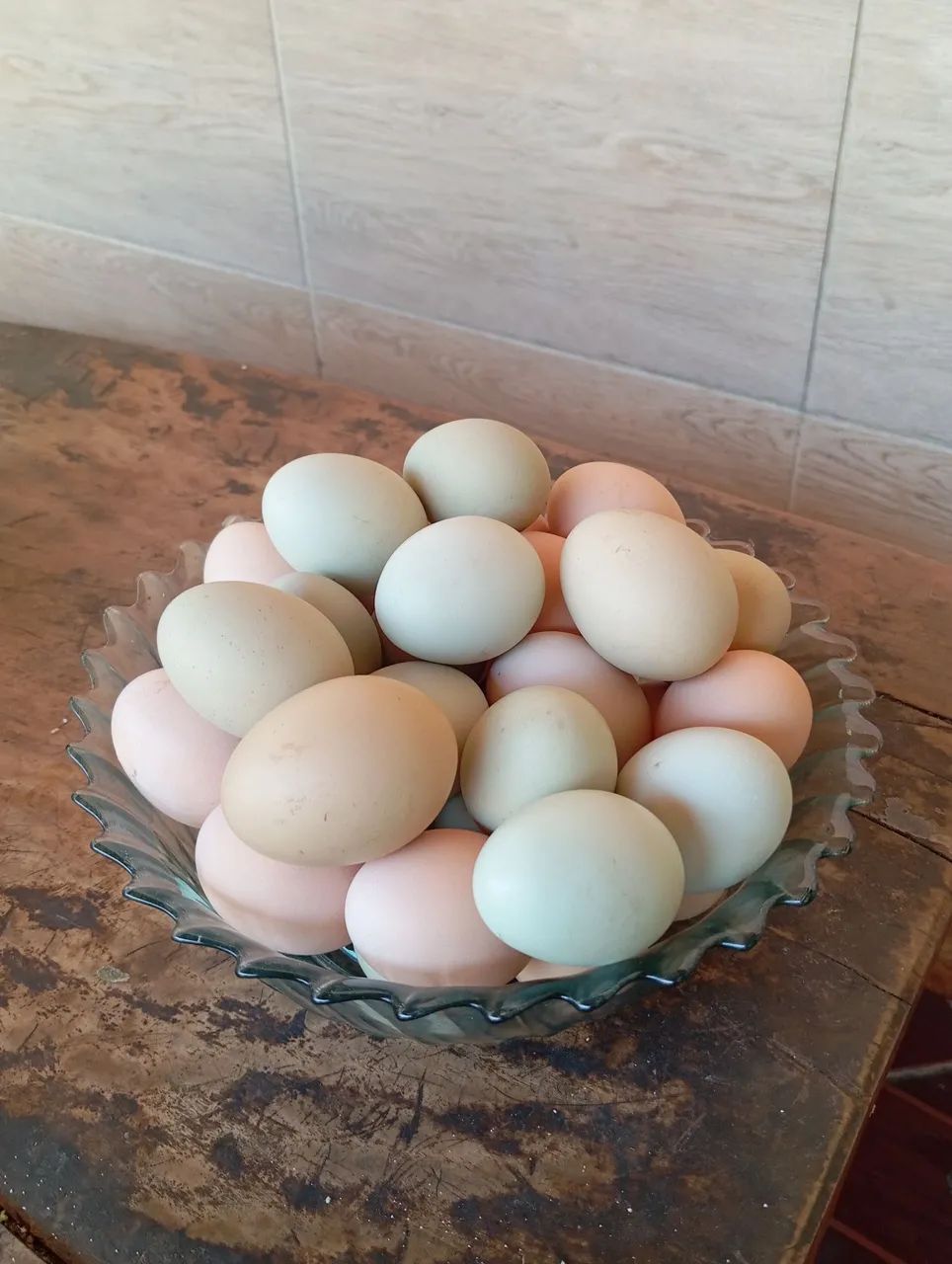 Ovos caipira Galados pra chocadeira!!! - Foto 2