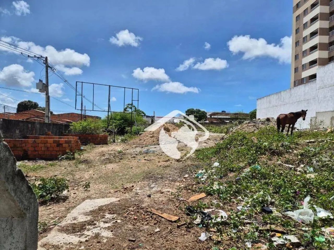 Área no Jabotiana - Foto 3