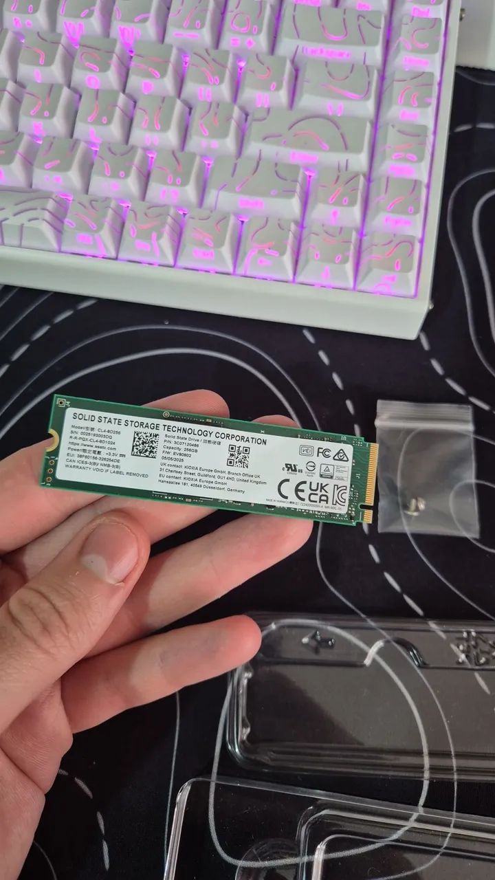 SSD NVME GEN3 256GB