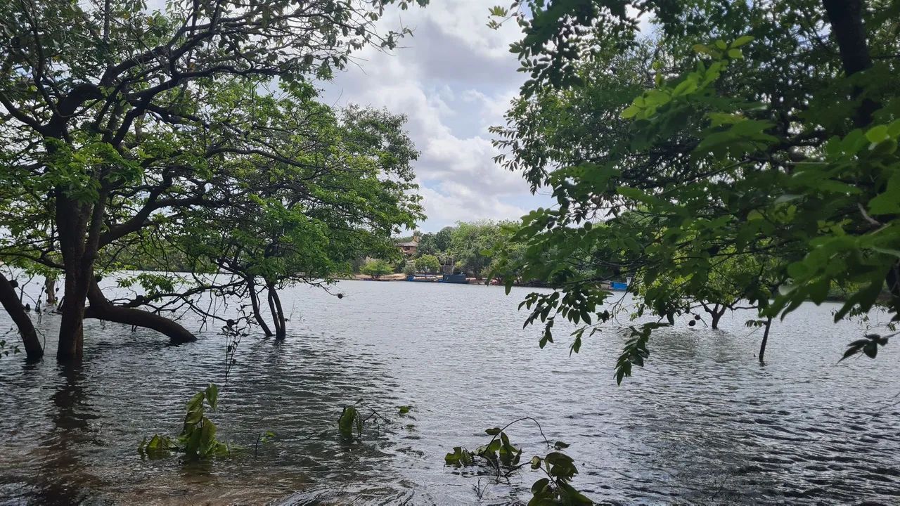 Casa à Venda em Alter do Chão - Foto 4