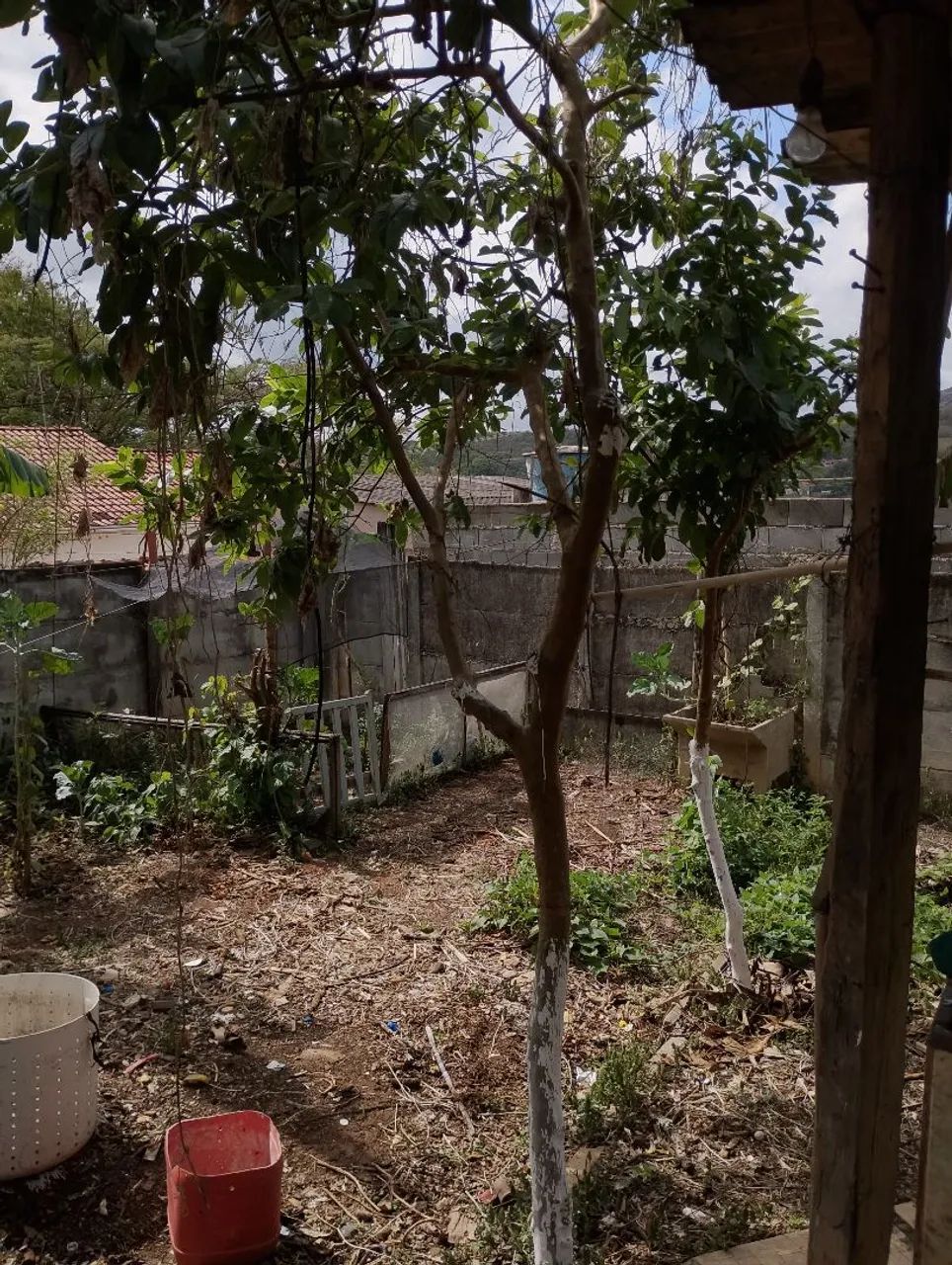 Casa a 100m da lagoa. - Foto 3