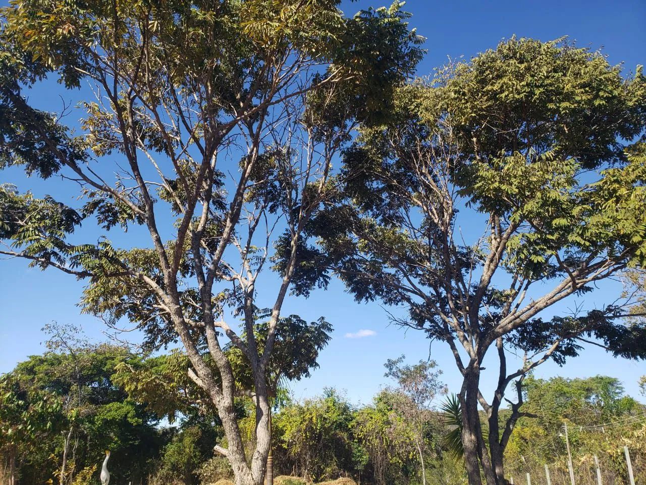            Oportunidade que não se perde - Foto 4