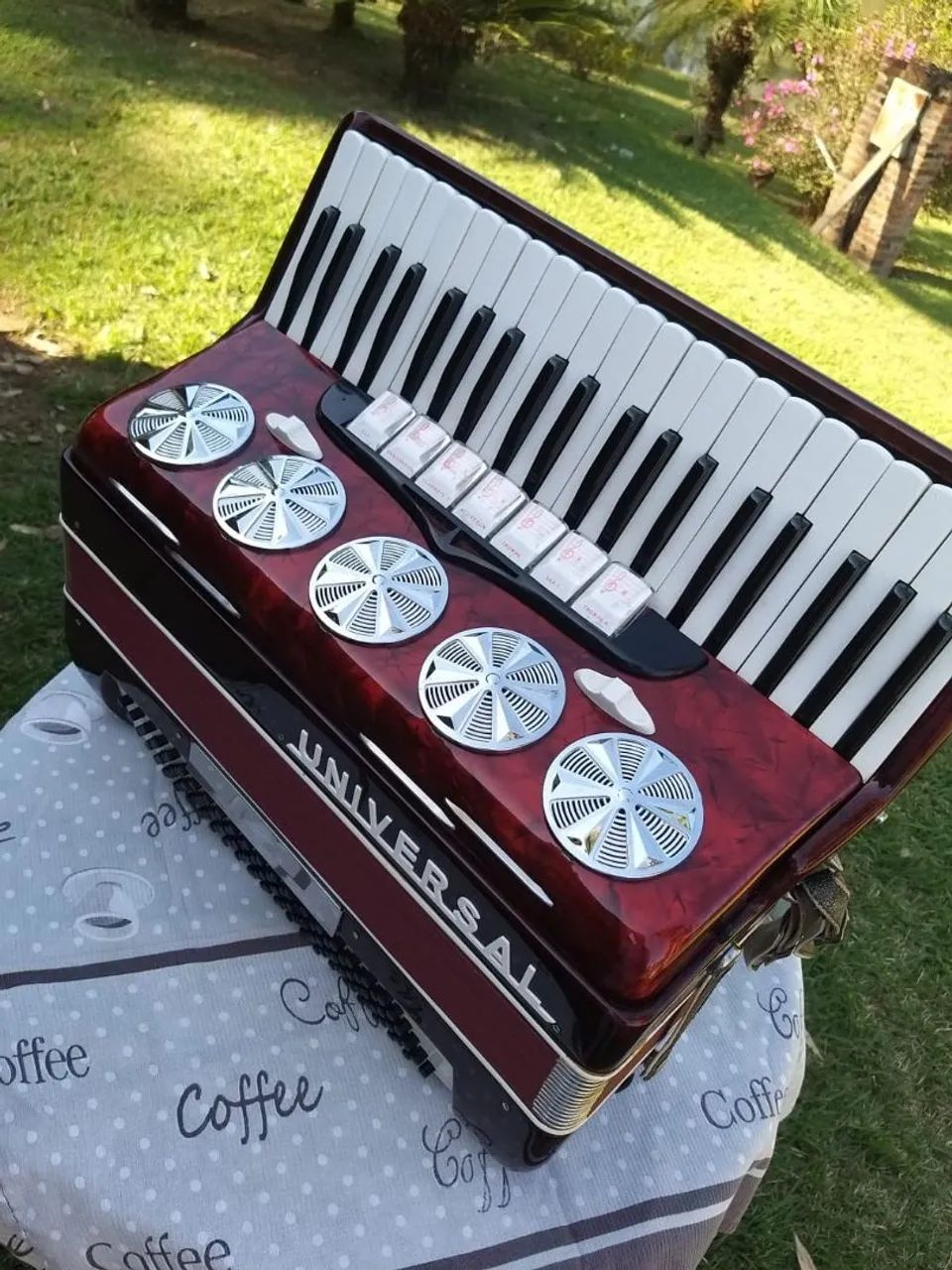 Sandona acordeon universal 120 baixos - Instrumentos musicais