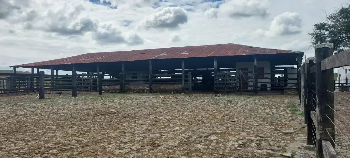 FAZENDA DE PECUÁRIA EM JUSSARI - Foto 3