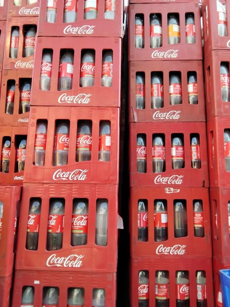 Cascos COÇA COLA RETORNÁVEL 2 litros - Foto 3