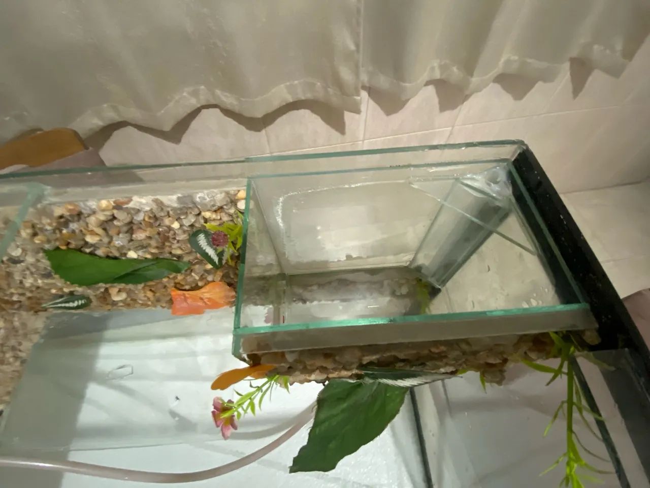 Aquário com plataforma  - Foto 4