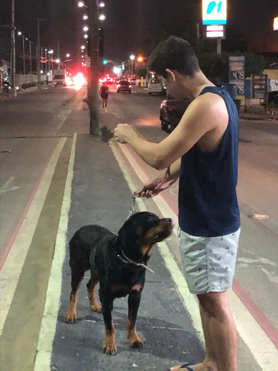 Doação de Rottweiler - Foto 2