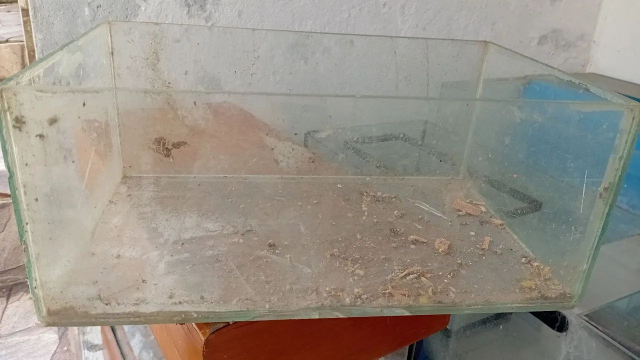 Aquários com trincado - Foto 4