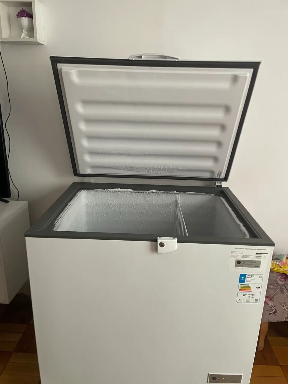 FREEZER 309L - Foto 4